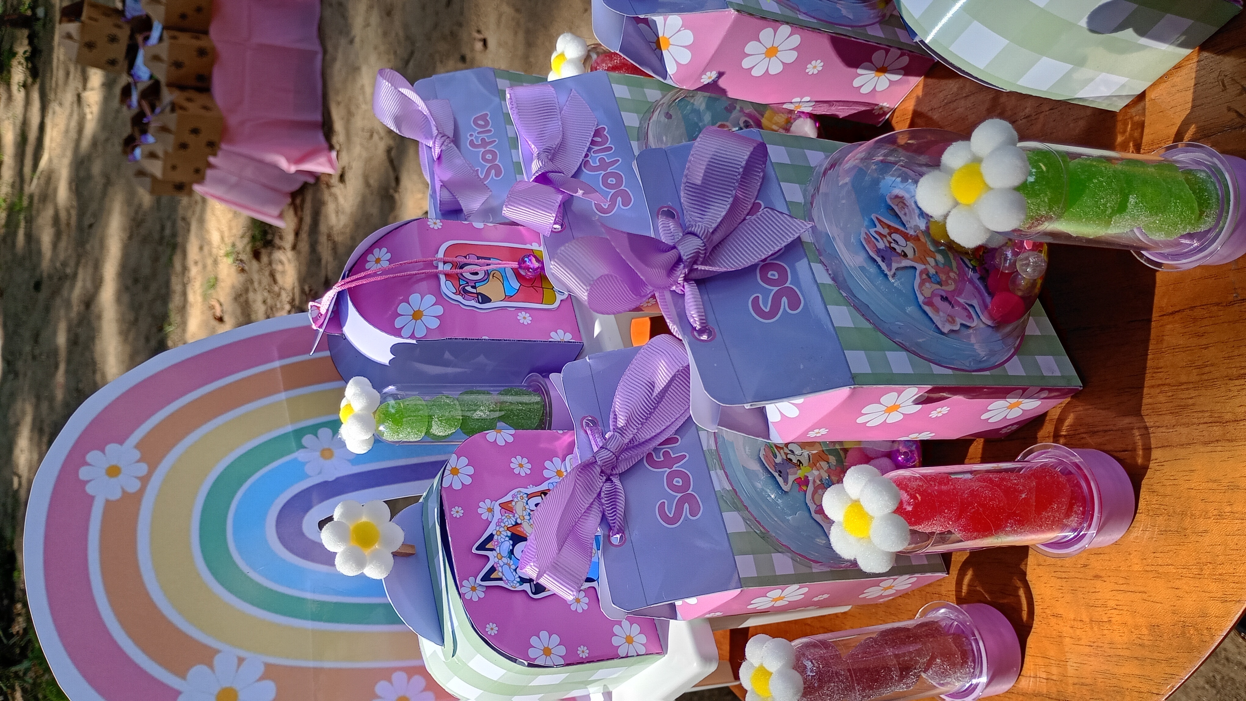 Tema Bluey Rosa