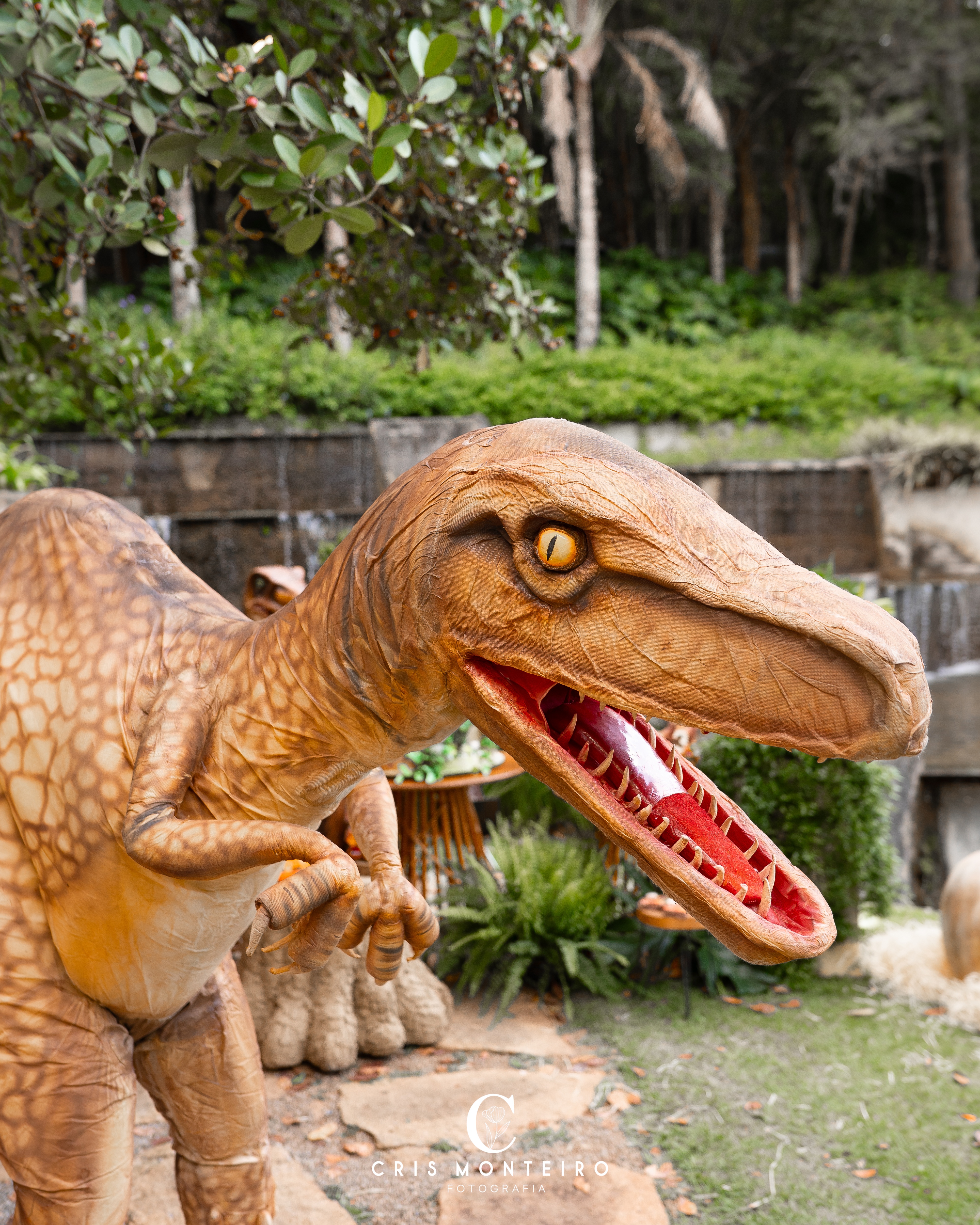 Domador e Dinossauro